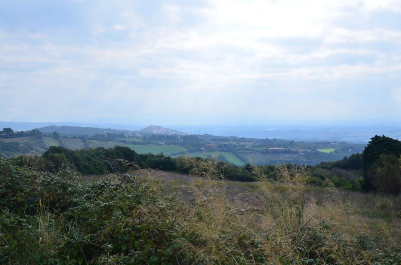 Rudere in vendita a Rosignano Marittimo, Rosignano Solvay
