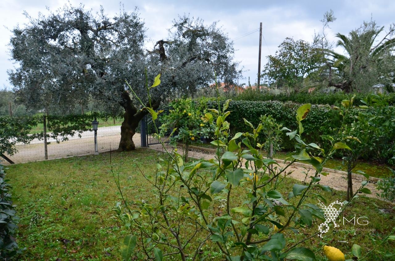 Rustico in vendita a Castagneto Carducci, Donoratico