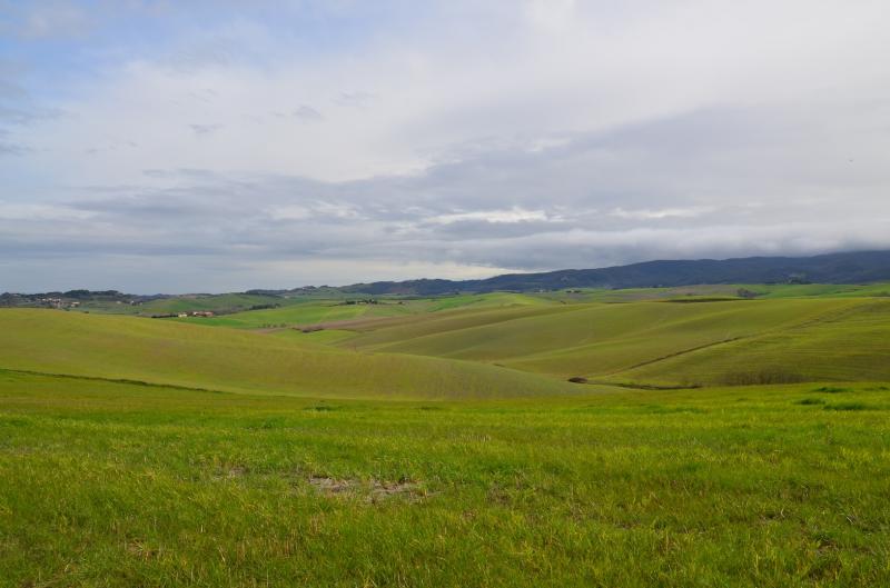Villette a schiera in vendita a Chianni, Rivalto