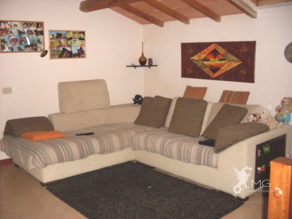 Appartamento in vendita a Terricciola, Selvatelle