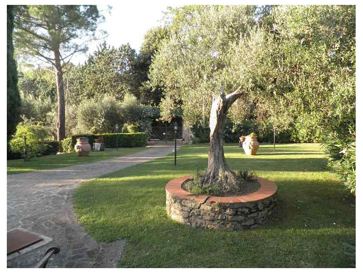 Casa singola in vendita a Casale Marittimo