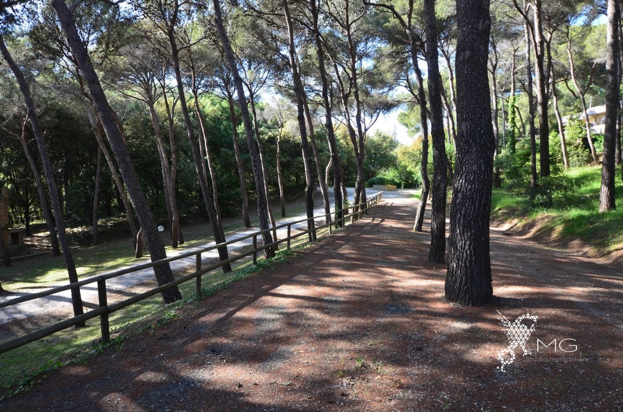 Appartamento in vendita a Rosignano Marittimo, Castiglioncello