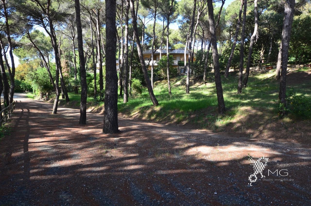 Appartamento in vendita a Rosignano Marittimo, Castiglioncello