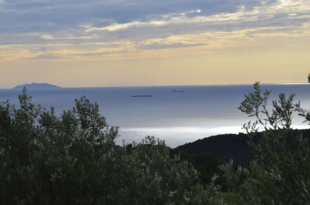 Casa singola in vendita a Rosignano Marittimo