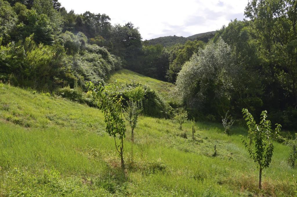 Rudere in vendita a Rosignano Marittimo, Castelnuovo della Misericordia