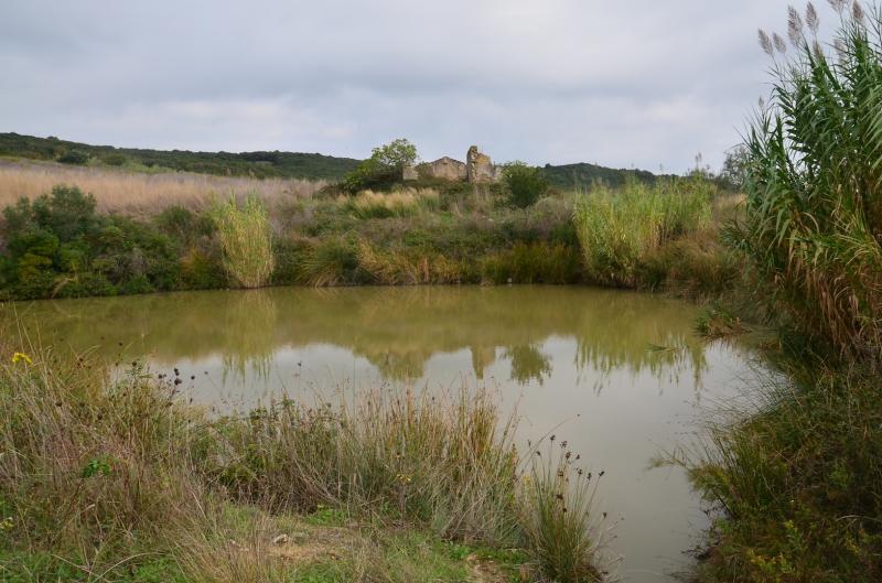Rudere in vendita a Rosignano Marittimo, Rosignano Solvay