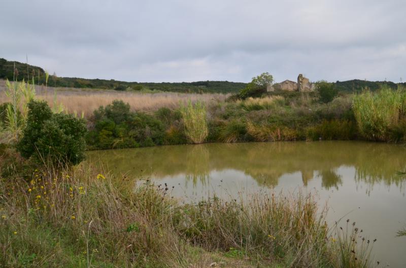 Rudere in vendita a Rosignano Marittimo, Rosignano Solvay
