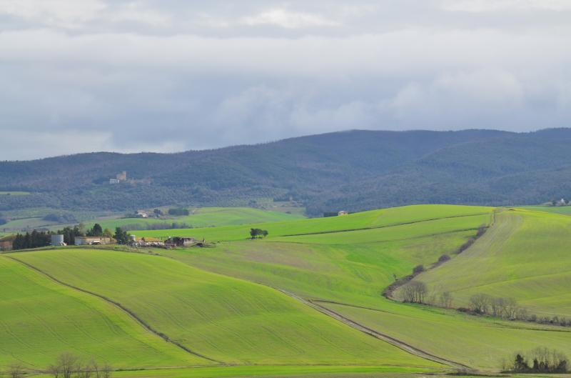 Villette a schiera in vendita a Chianni, Rivalto