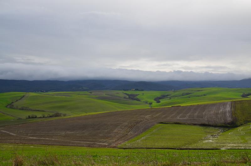 Villette a schiera in vendita a Chianni, Rivalto