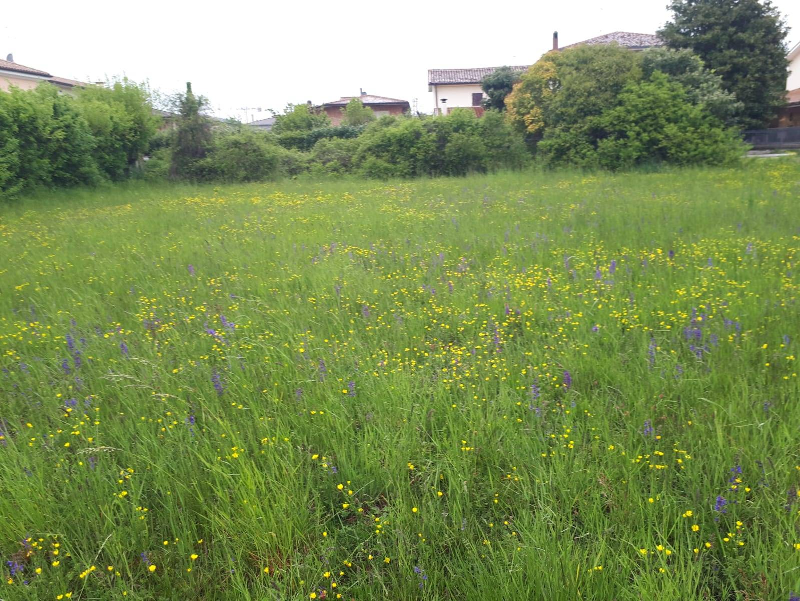 Terreno edificabile in vendita a Montebelluna, Guarda
