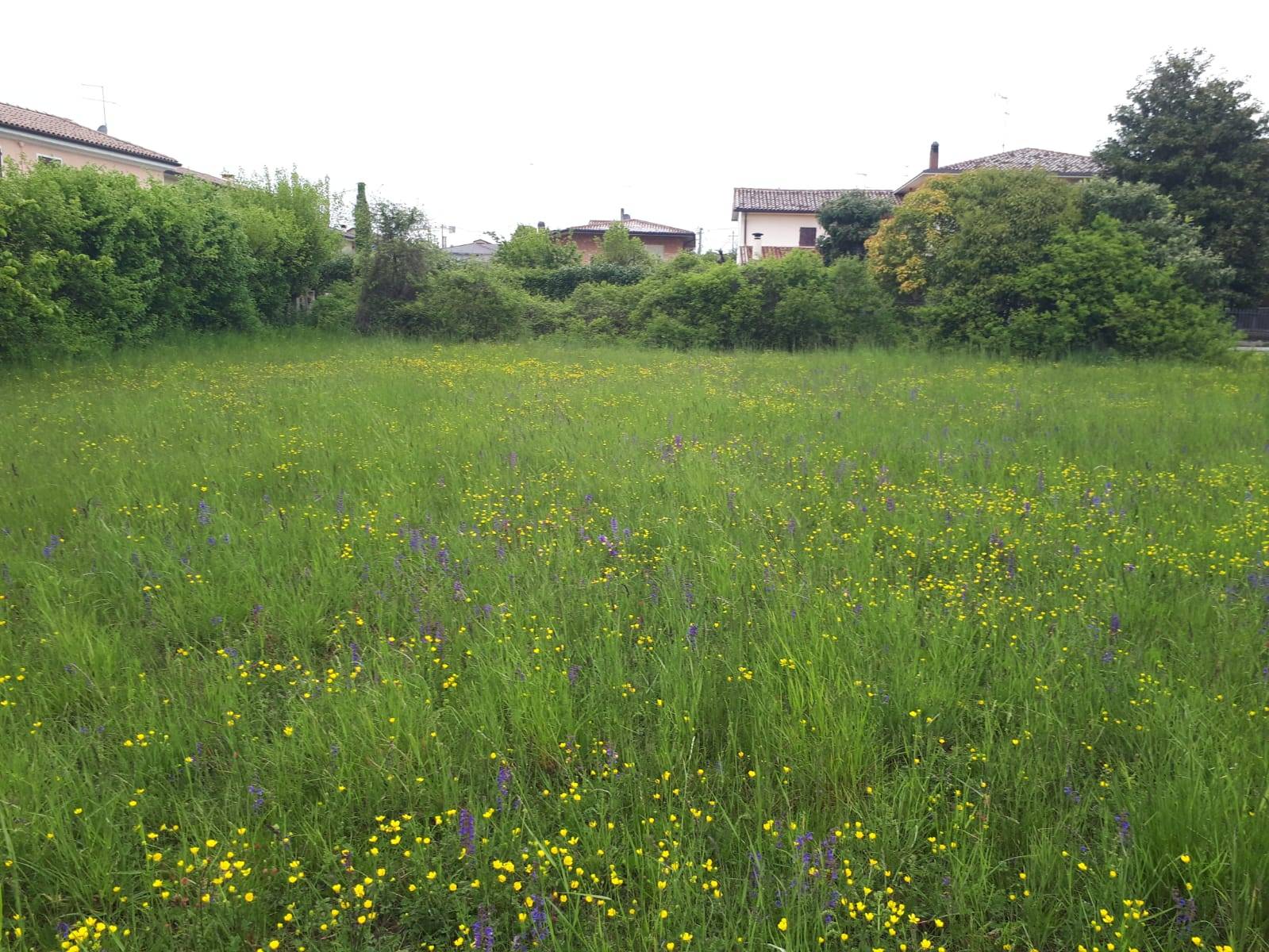 Terreno edificabile in vendita a Montebelluna, Guarda