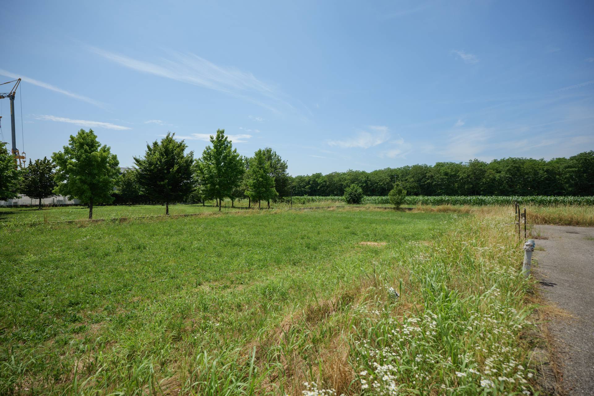 Terreno edificabile in vendita a Trevignano
