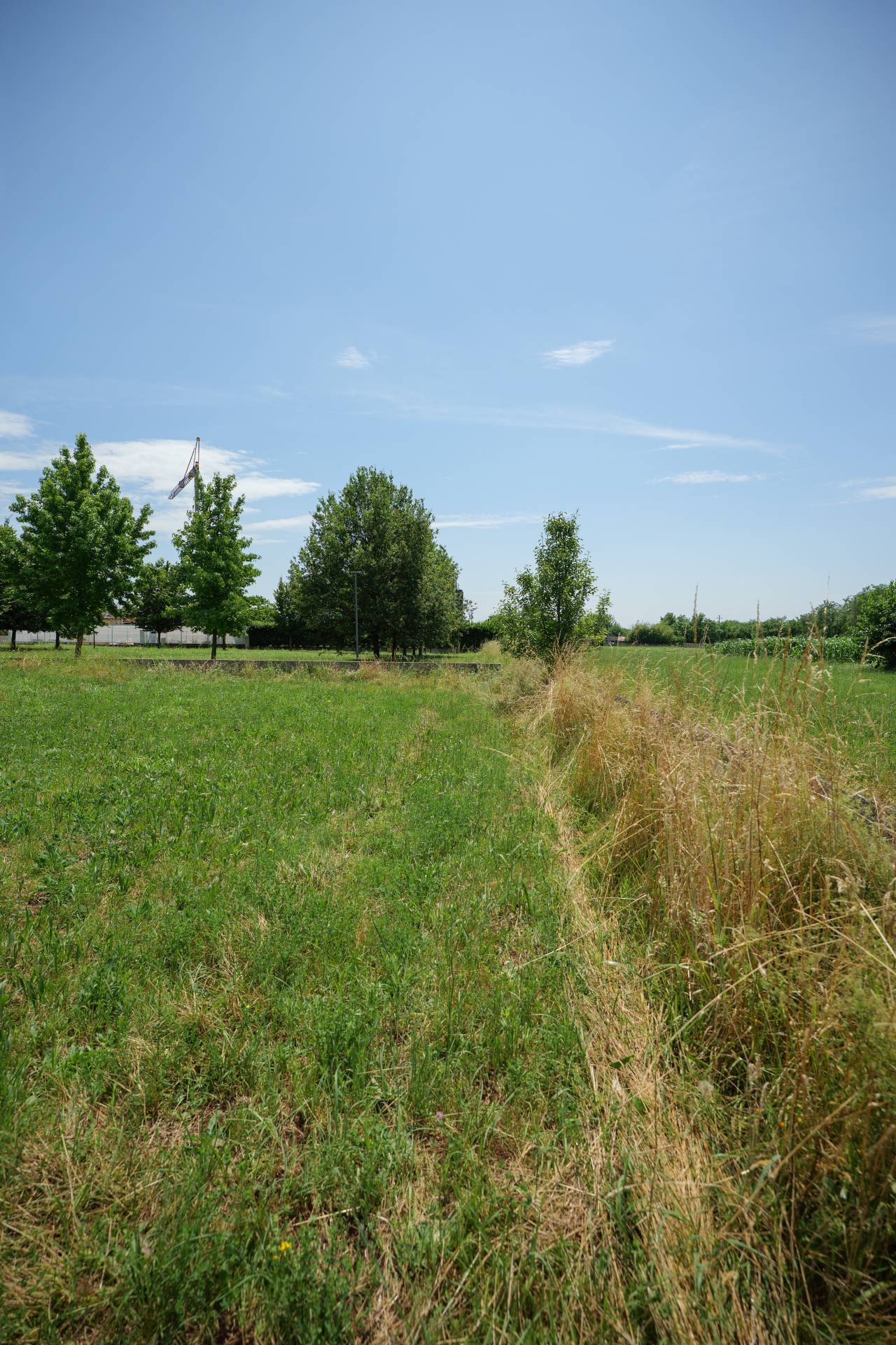 Terreno edificabile in vendita a Trevignano