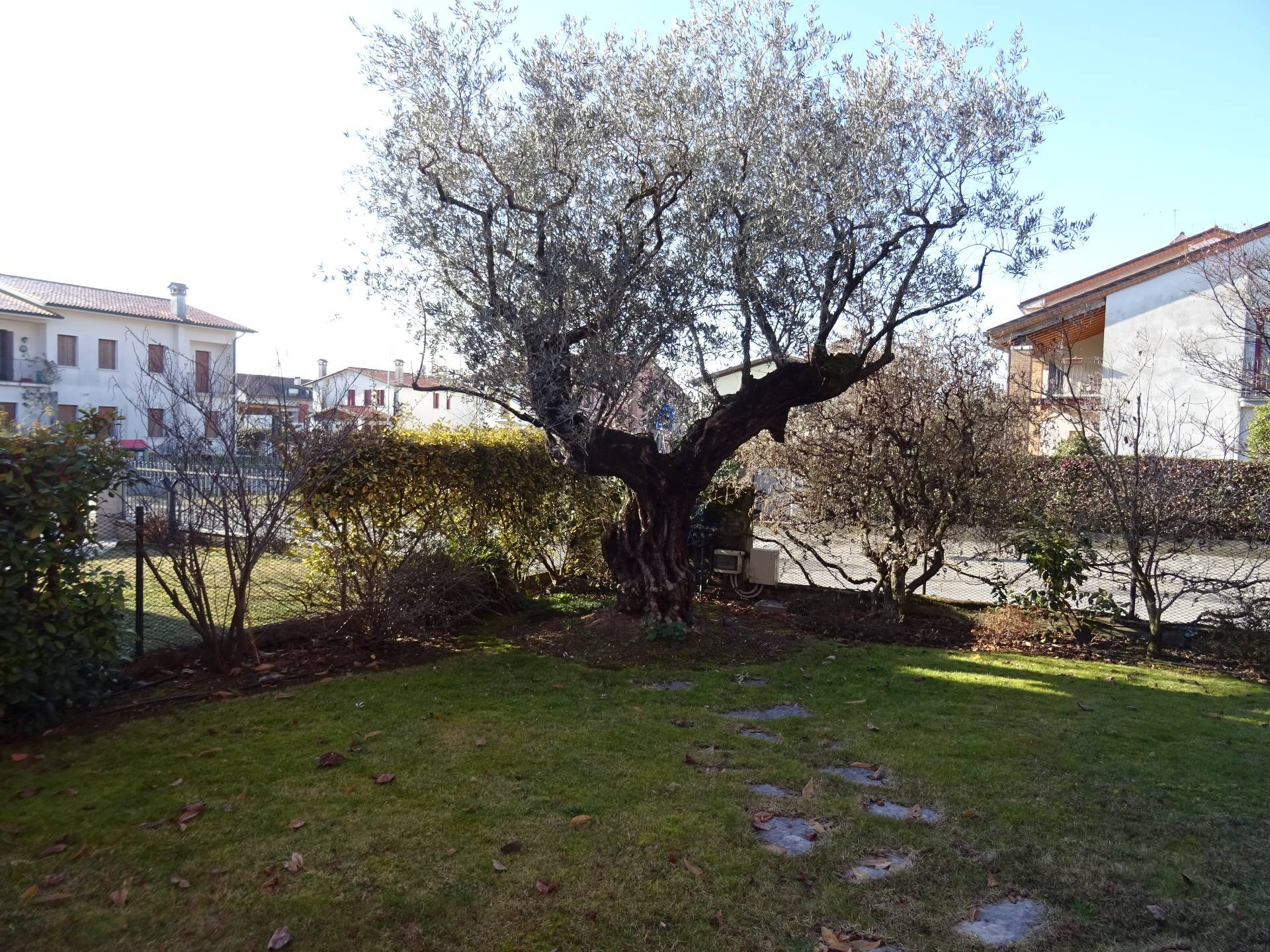 villa bifamiliare in vendita a Maser