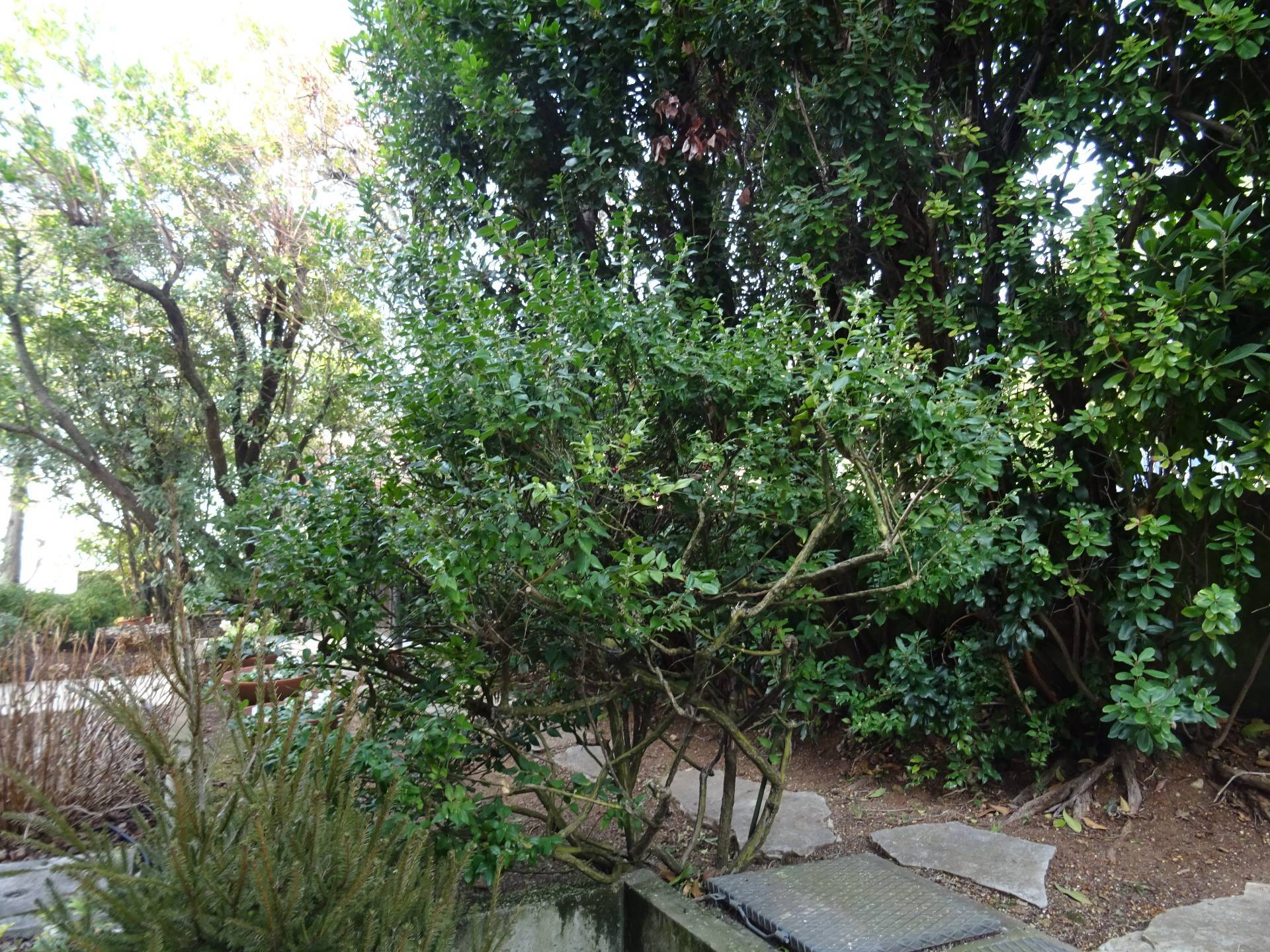 Casa singola in vendita a Montebelluna