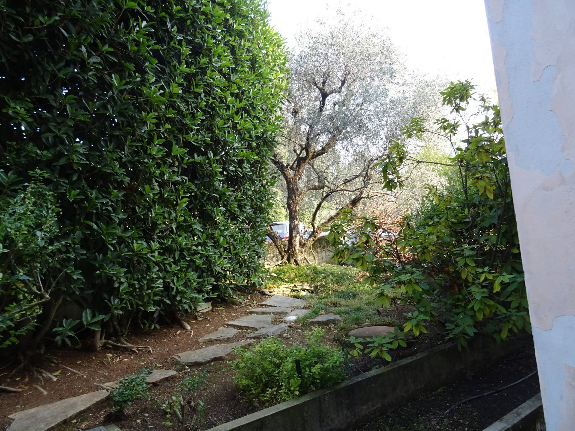 Casa singola in vendita a Montebelluna