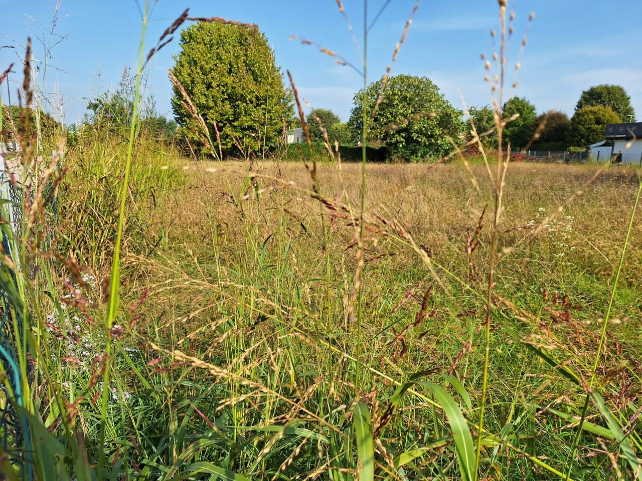 Terreno edificabile in vendita a Paese, Postioma