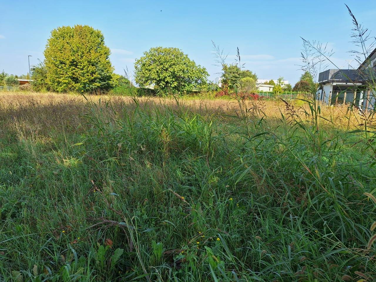 Terreno edificabile in vendita a Paese, Postioma