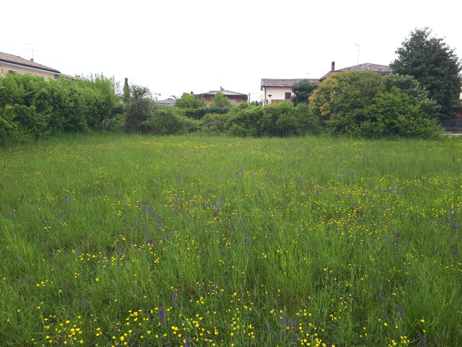 Terreno edificabile in vendita a Montebelluna, Guarda