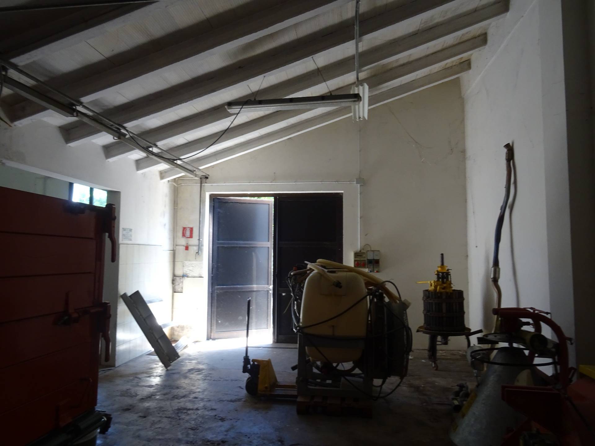 Deposito in vendita a Vidor