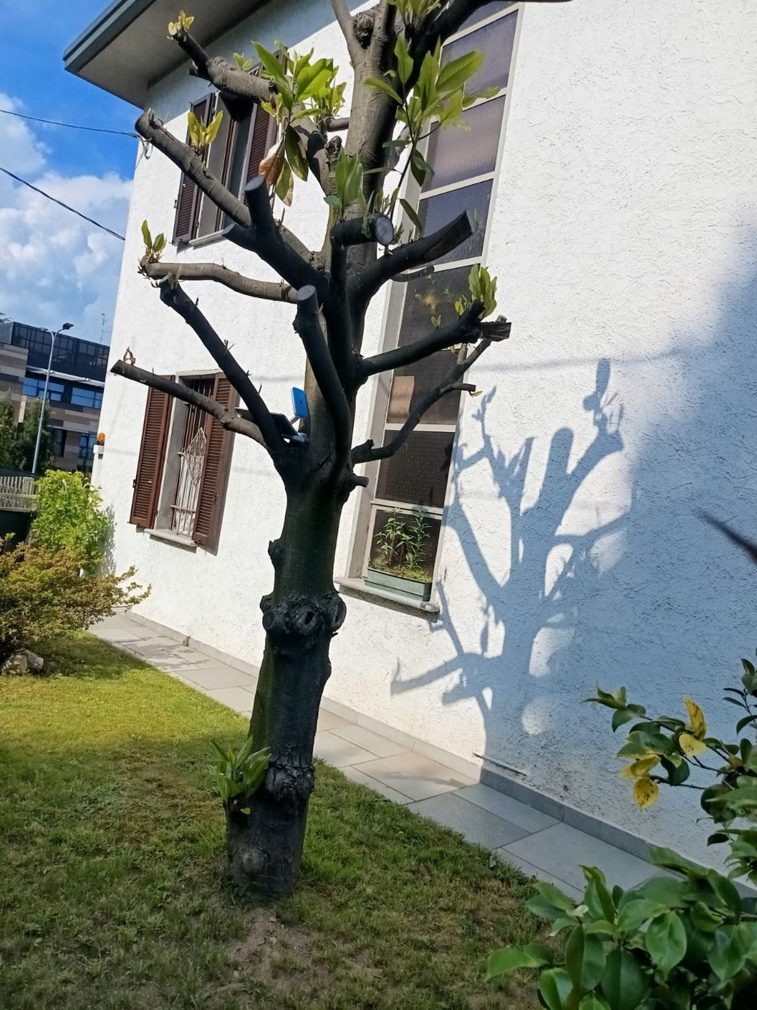 Villa in vendita a Cermenate