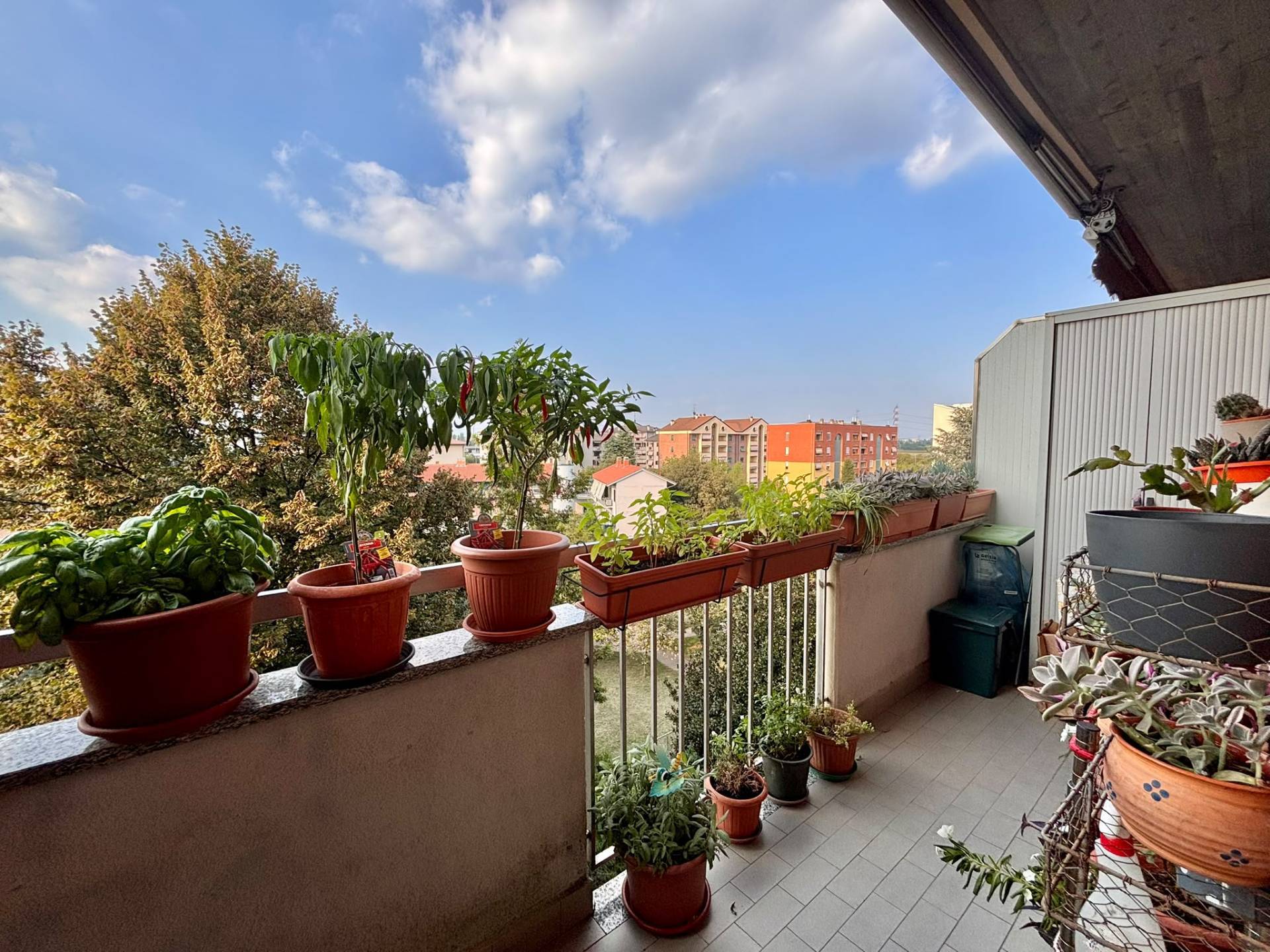 Appartamento in vendita a Nova Milanese