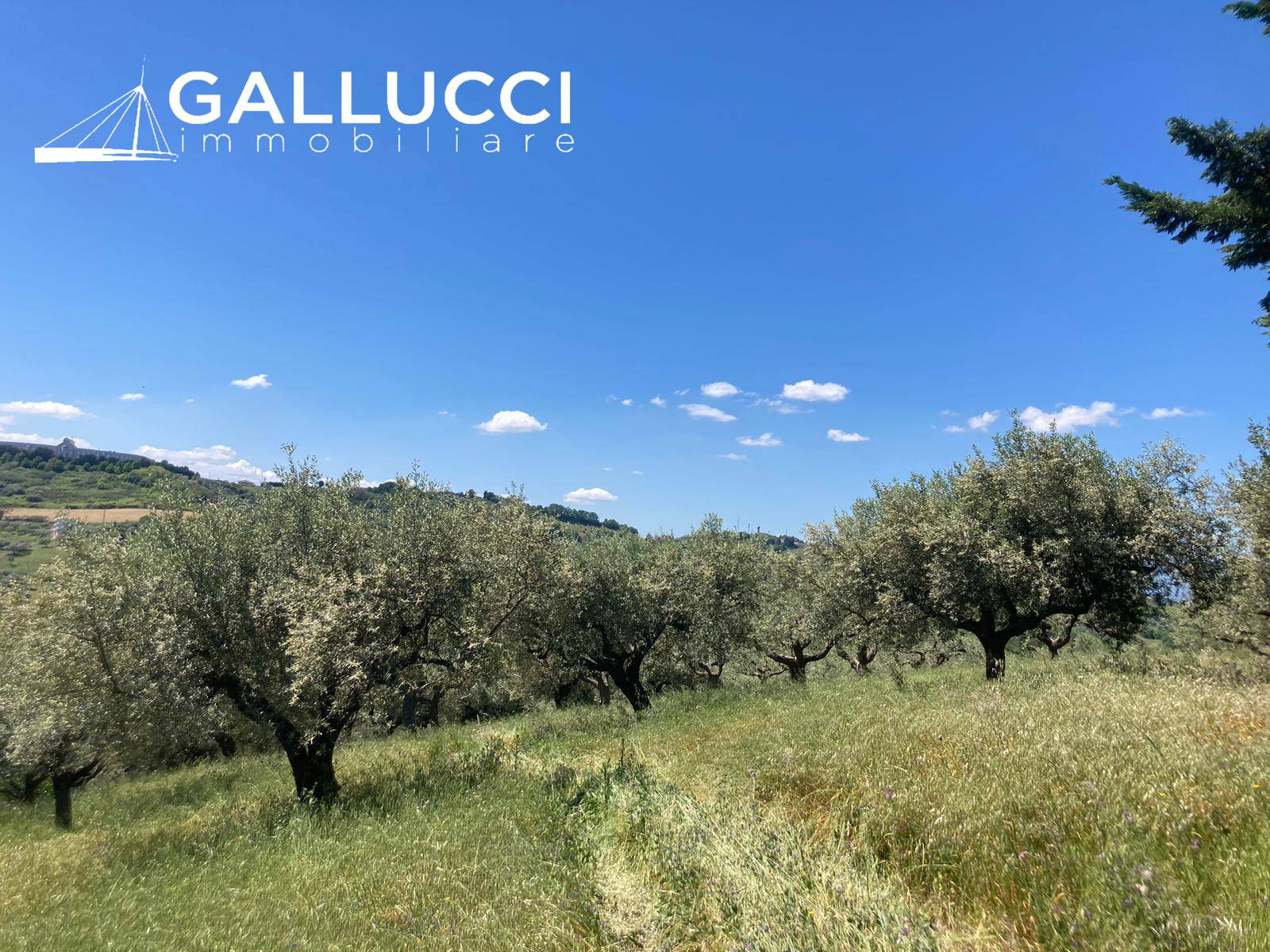 Terreno edificabile in vendita a Montesilvano