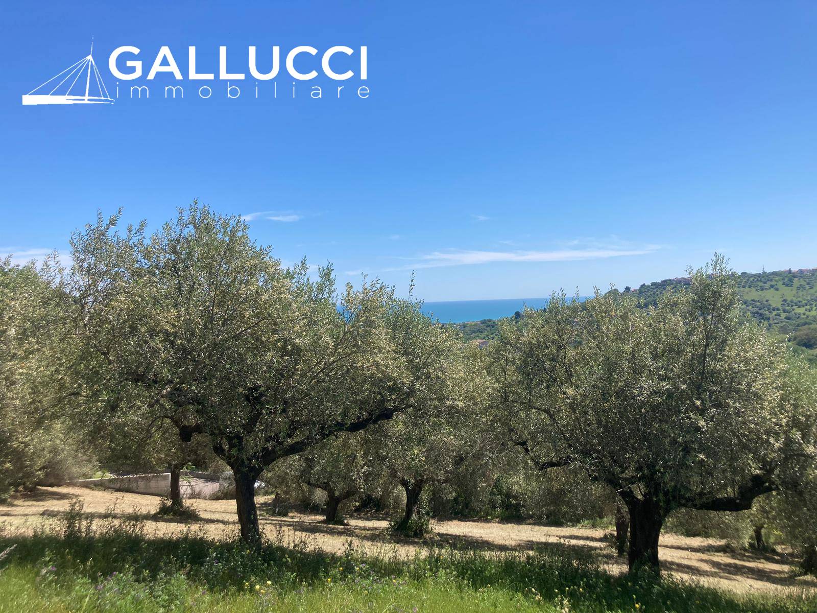 Terreno edificabile in vendita a Montesilvano