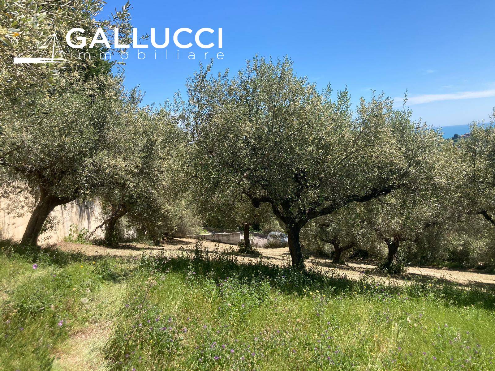 Terreno edificabile in vendita a Montesilvano