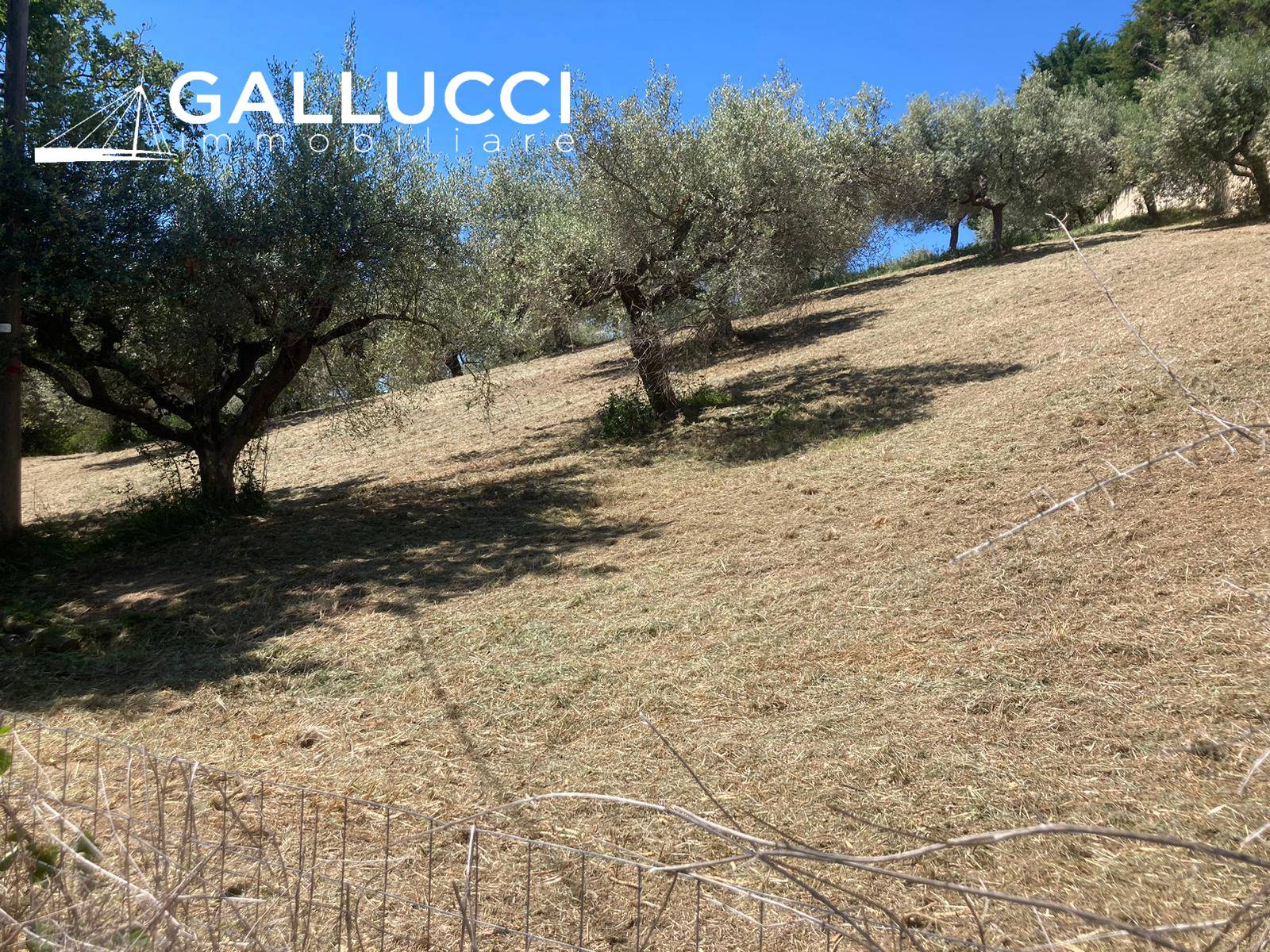 Terreno edificabile in vendita a Montesilvano