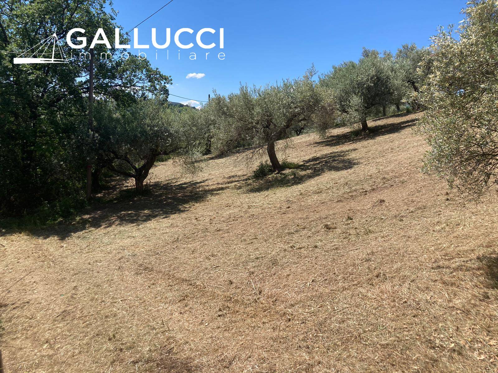 Terreno edificabile in vendita a Montesilvano