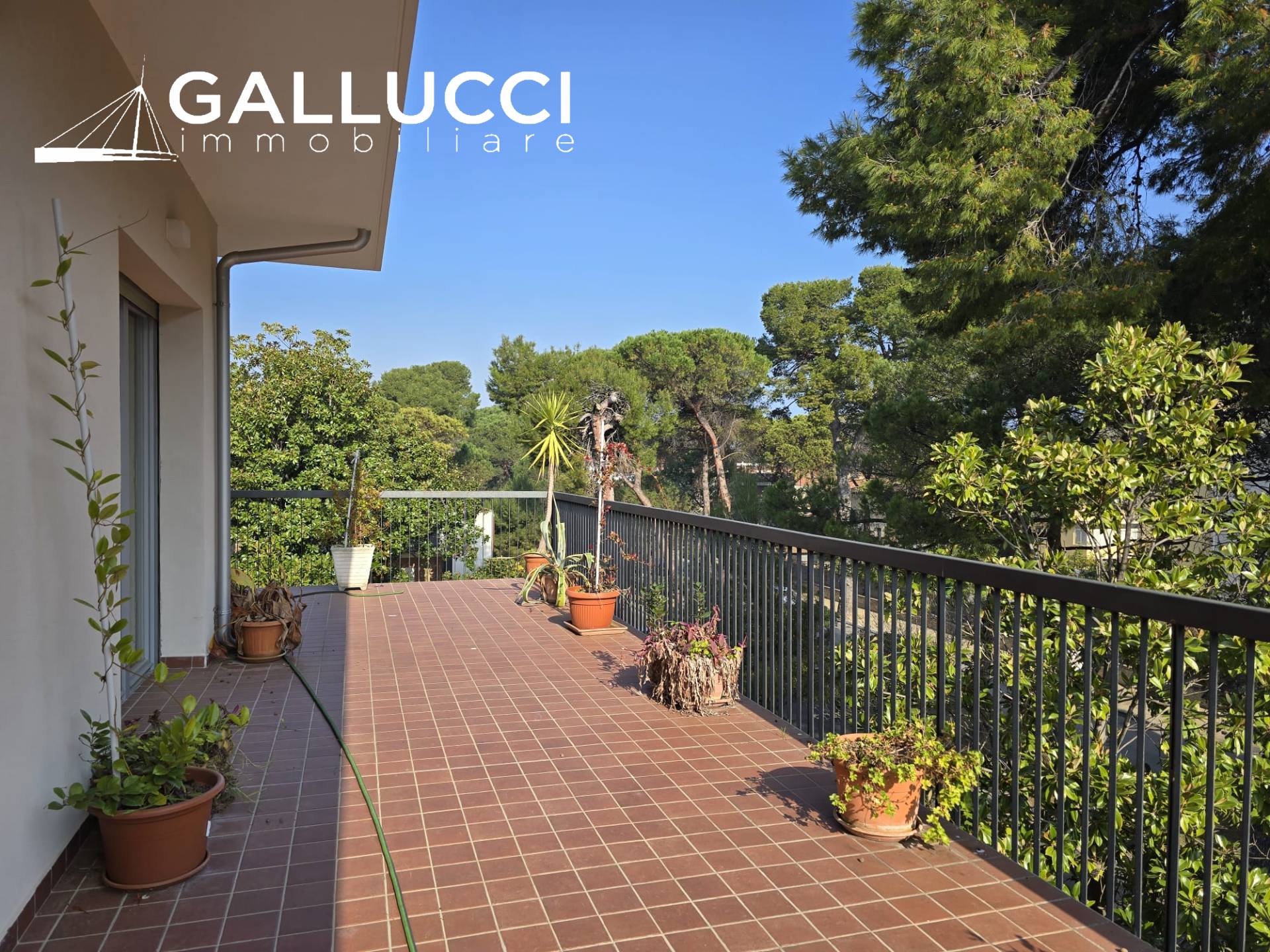 Attico in affitto a Pescara