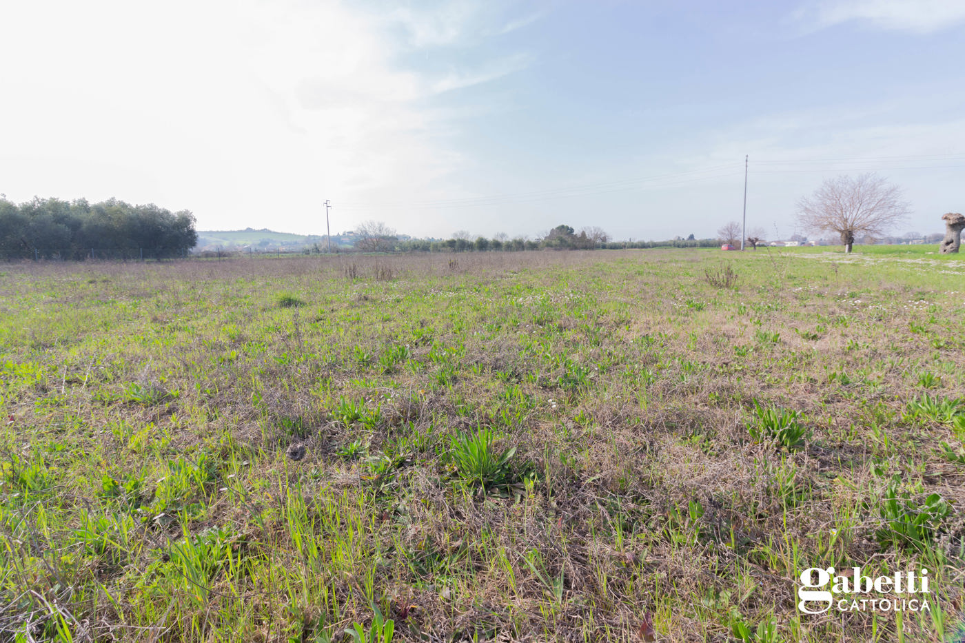 Terreno Agricolo in vendita a San Giovanni in Marignano