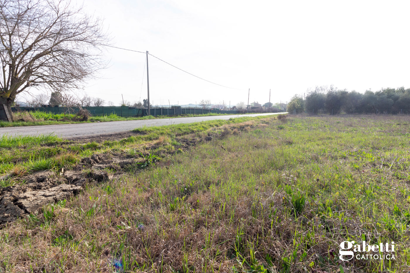 Terreno Agricolo in vendita a San Giovanni in Marignano