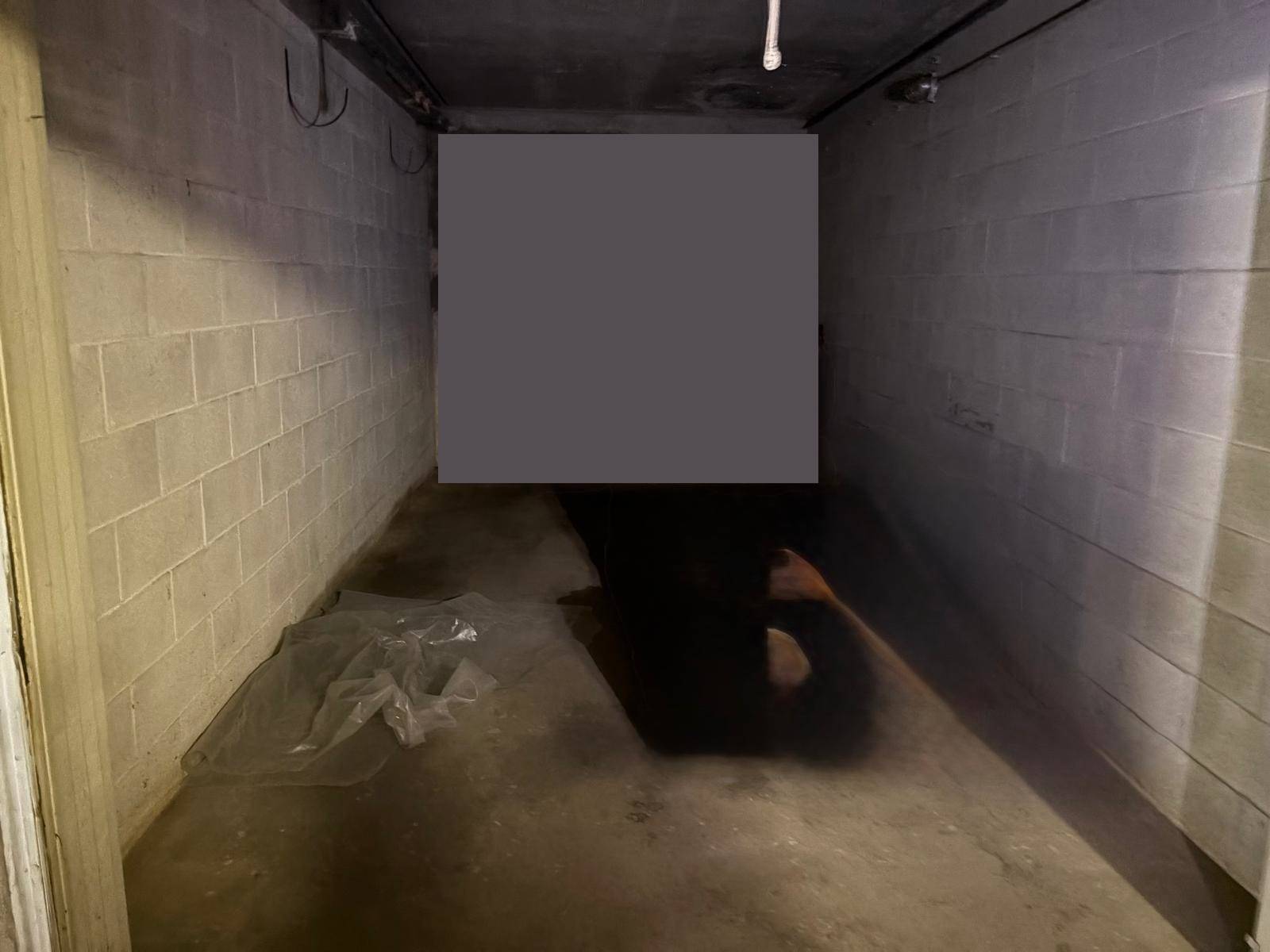 Box o garage in vendita a Rivoli, Cascinevica