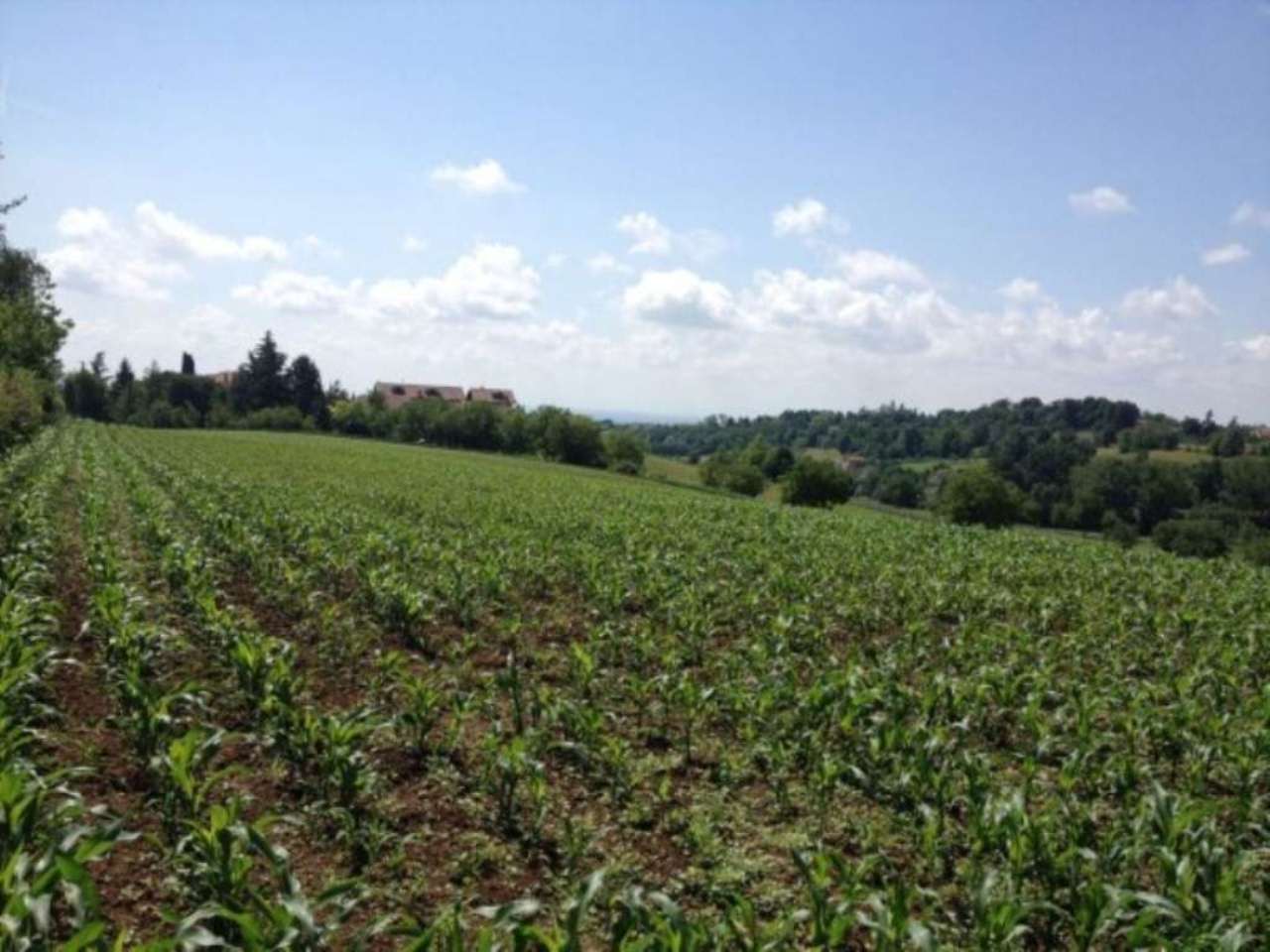 Rustico in vendita a Chieri, Semicentrale