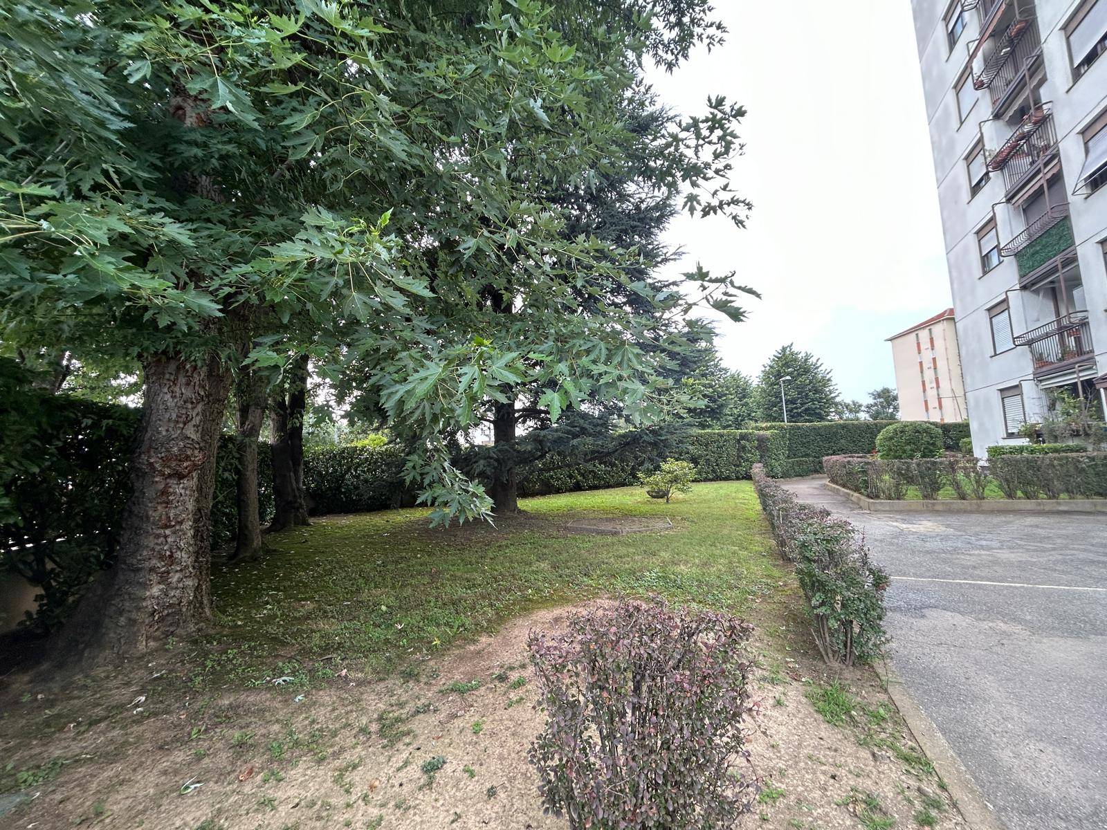 Stanza - Camera in affitto a Grugliasco, 1� Cintura