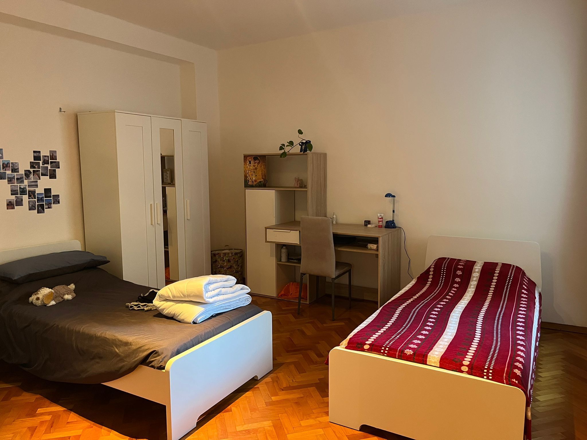 Monolocale in affitto in via scopoli 55, Trento