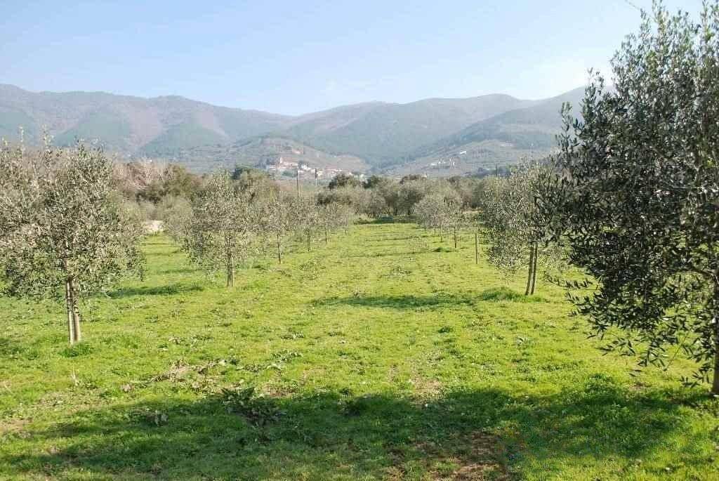 immagine annuncio 5 di 6