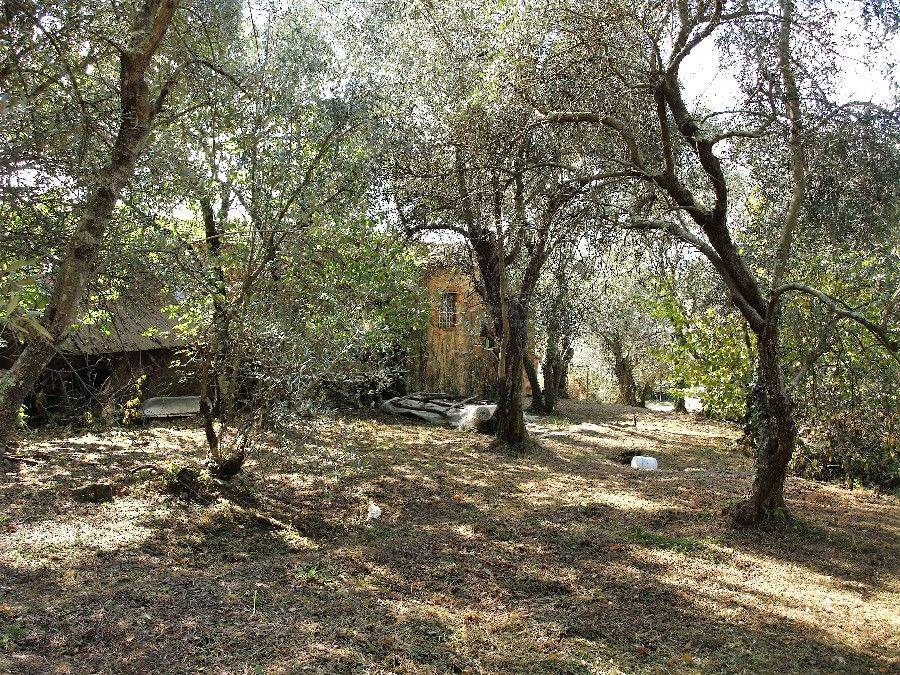 Rustico in vendita a Camaiore, Pieve di Camaiore