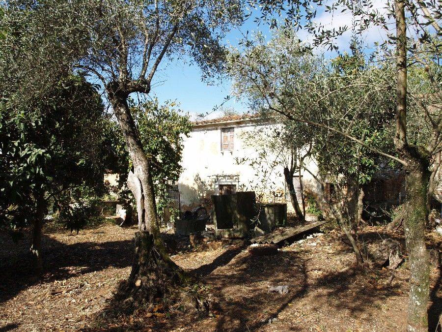 Rustico in vendita a Camaiore, Pieve di Camaiore