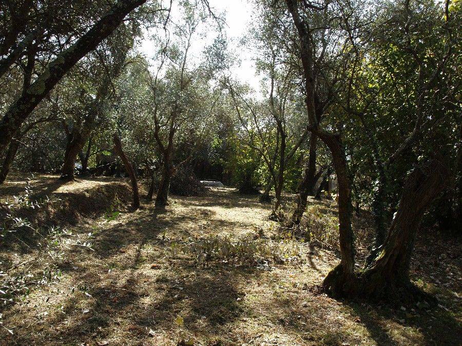 Rustico in vendita a Camaiore, Pieve di Camaiore