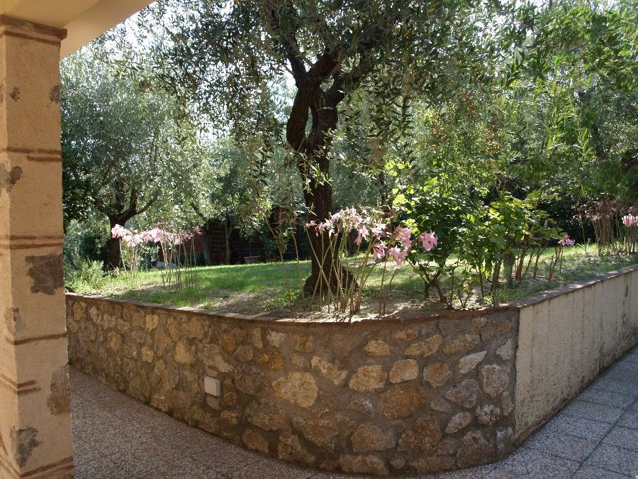 Casa singola in vendita a Camaiore