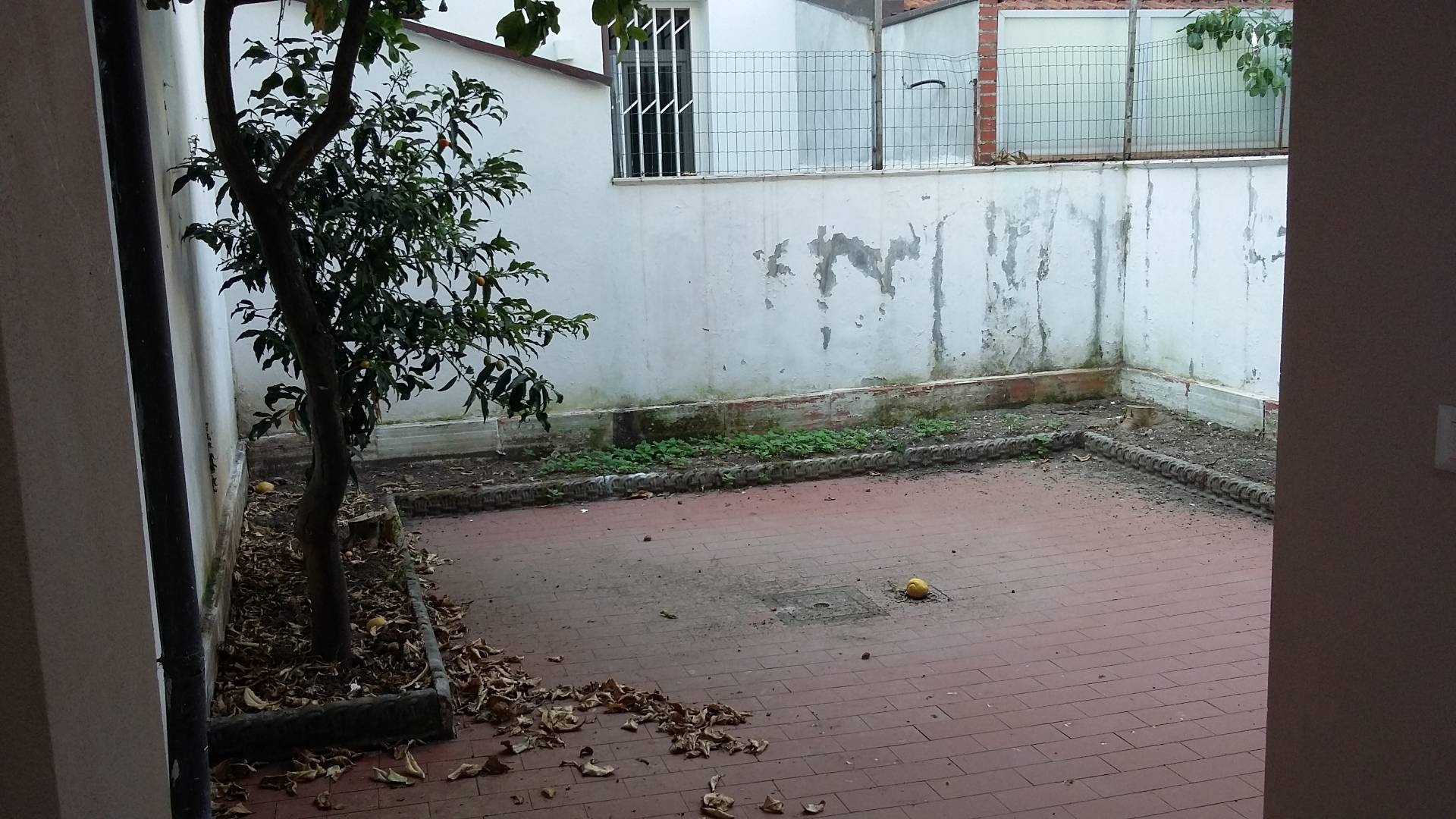 Casa viareggina in vendita a Viareggio, Marco Polo