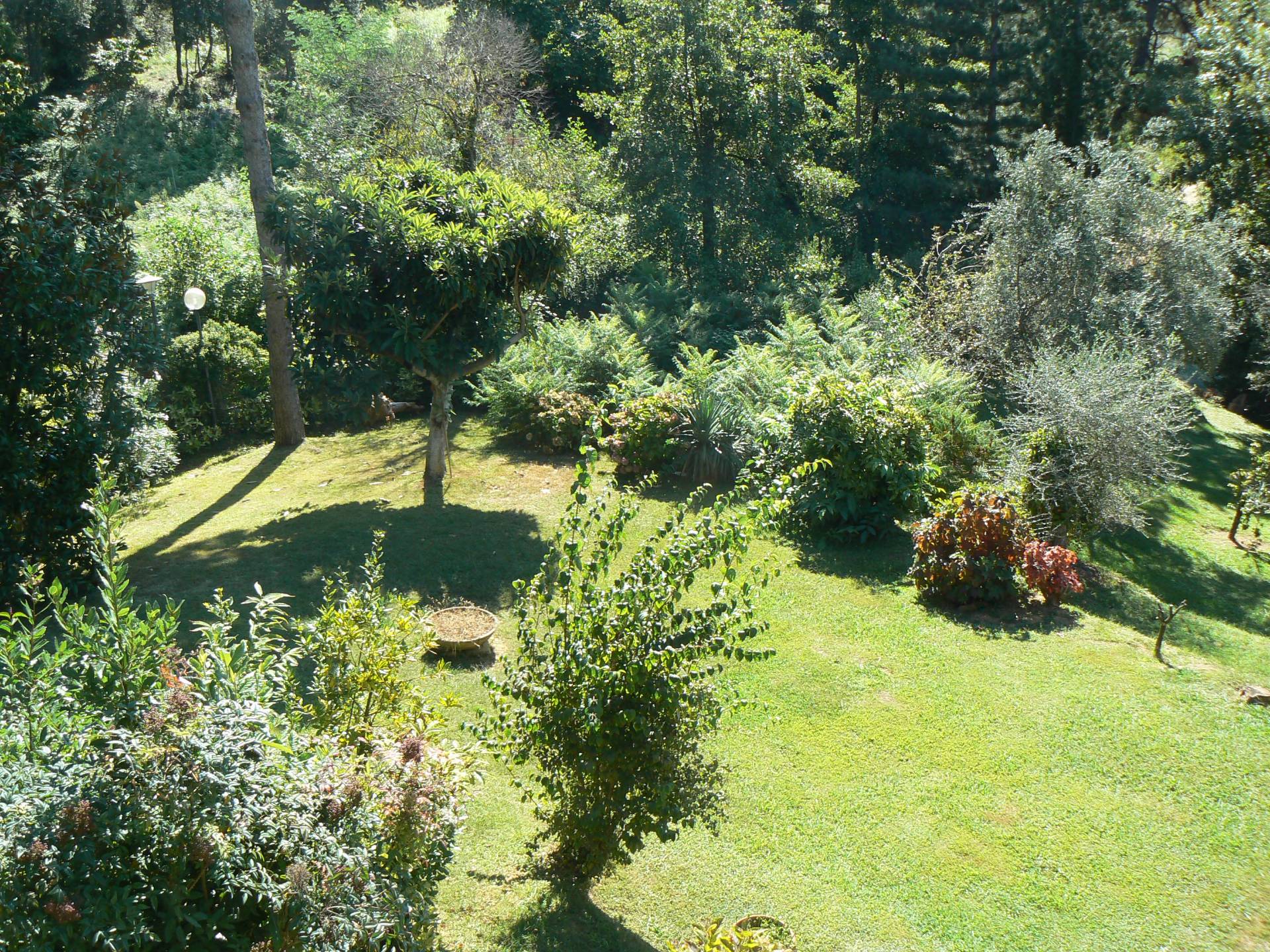 Casa singola in vendita a Camaiore, Capezzano Pianore