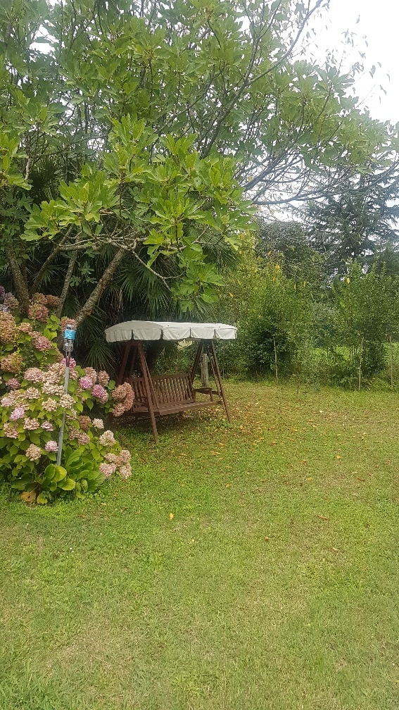 Rustico in vendita a Camaiore, Pieve di Camaiore