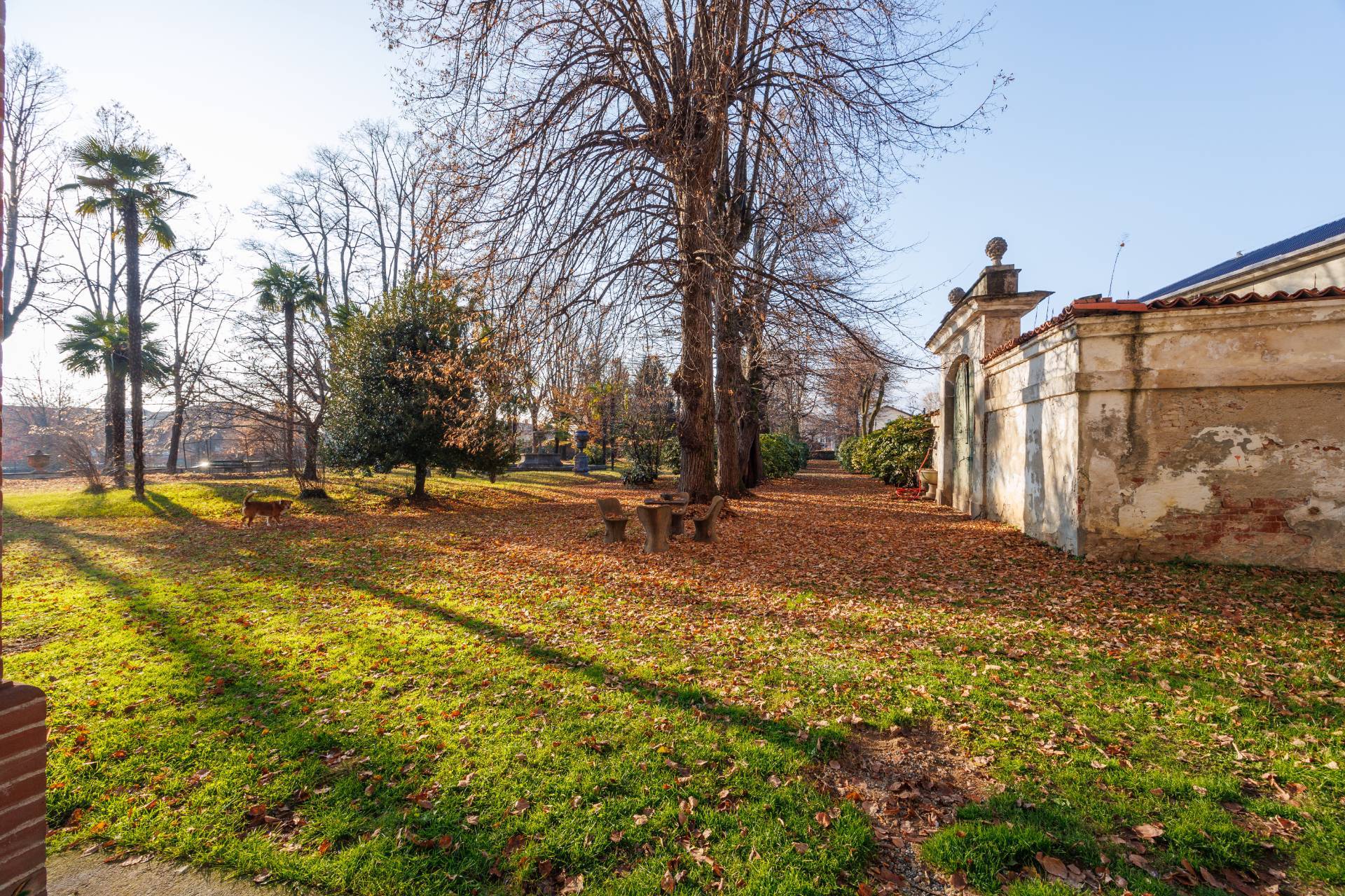 Attivit Commerciale in vendita a Favria, Centro