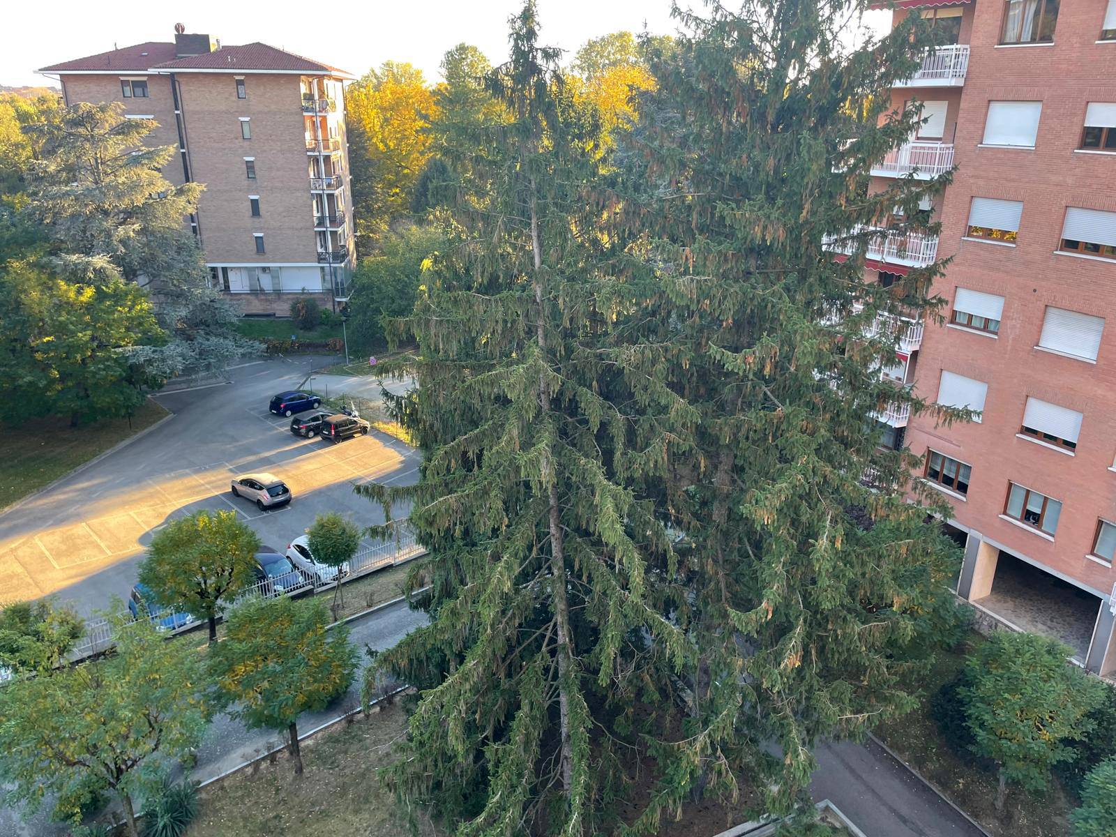 Appartamento in affitto a Moncalieri
