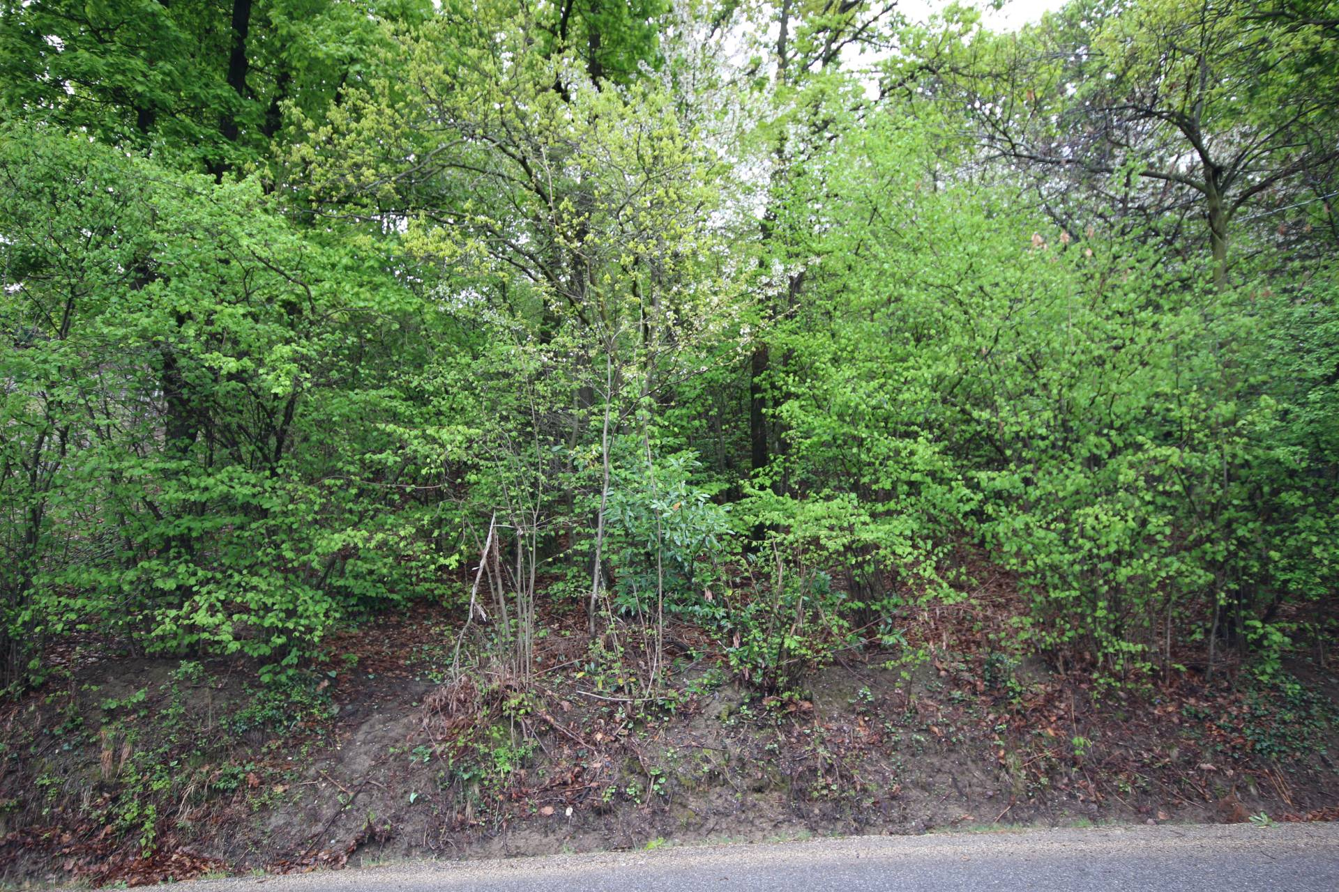 Terreno residenziale in vendita a Moncalieri, Revigliasco