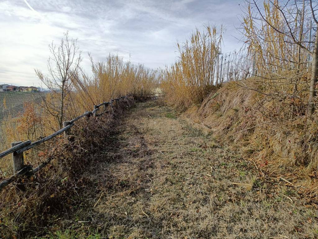 Terreno Agricolo in vendita a Serralunga d'Alba